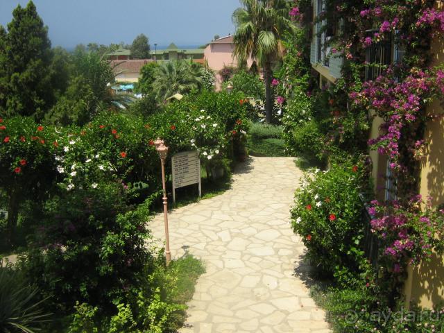 фото Club Hotel Kosdere