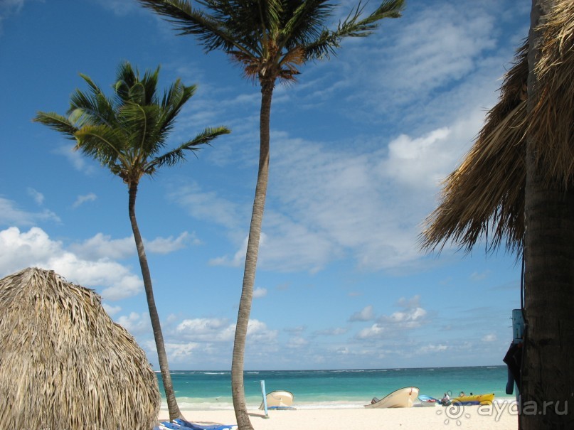 Отель отличный , много  зелени,  Анимация супер !!