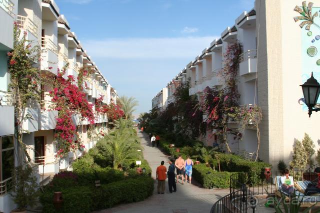 фото Minamark Beach Resort