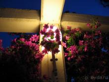 фото Larissa Art Beach