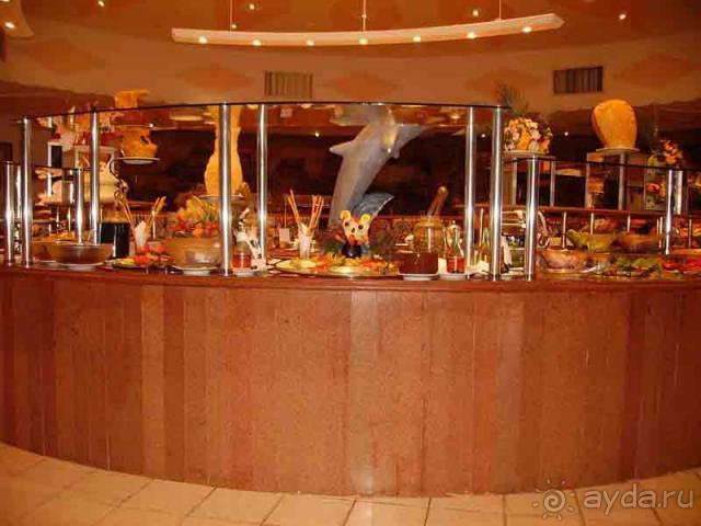 фото Albatros Sharm Resort