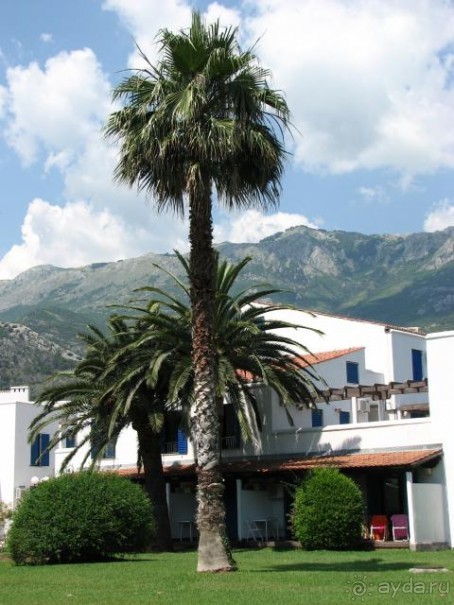 фото Slovenska Plaza