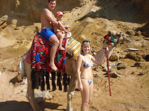 фото Pickalbatros Aqua Blu Sharm El Sheikh