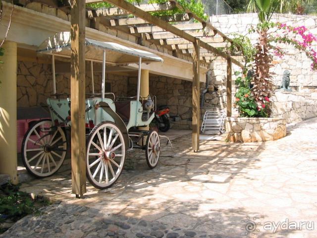 Bali Mare-карета...