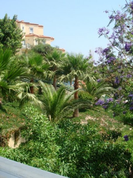 фото iz Flower Side Beach Hotel (ex.Paloma Beach Resort)