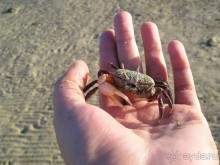 УДИВИТЕЛЬНОЕ МЕСТО (РЕШИЛА НАПИСАТЬ ПОДРОБНО)