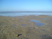 УДИВИТЕЛЬНОЕ МЕСТО (РЕШИЛА НАПИСАТЬ ПОДРОБНО)