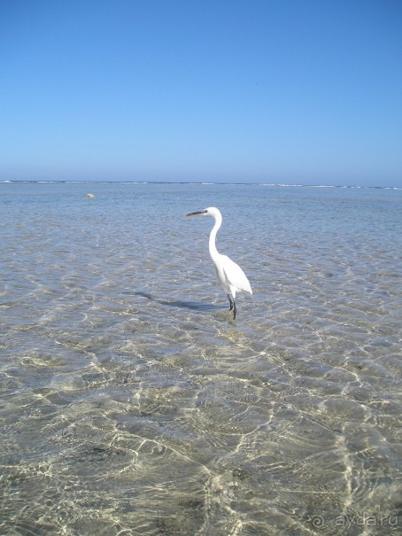 фото Sigma Resort Club