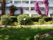 Очень, очень неплохо!