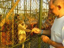 фото Aladdin Beach Resort