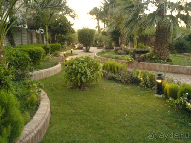 фото Aladdin Beach Resort