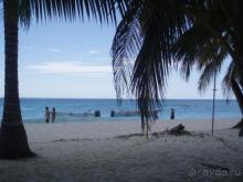 фото Occidental Punta Cana