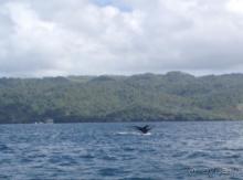 отличный отель!!!