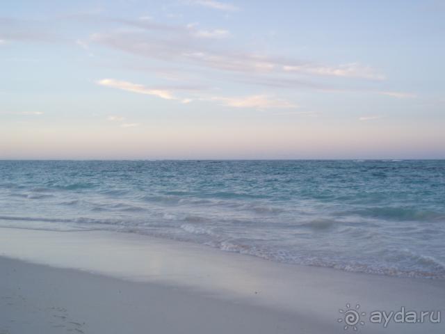 фото Occidental Punta Cana