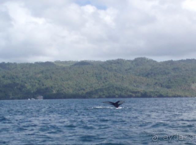 отличный отель!!!