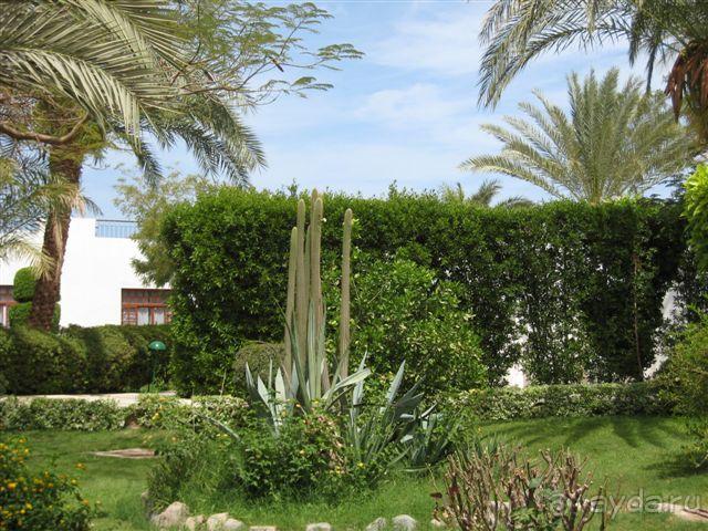 фото Menaville Resort Safaga