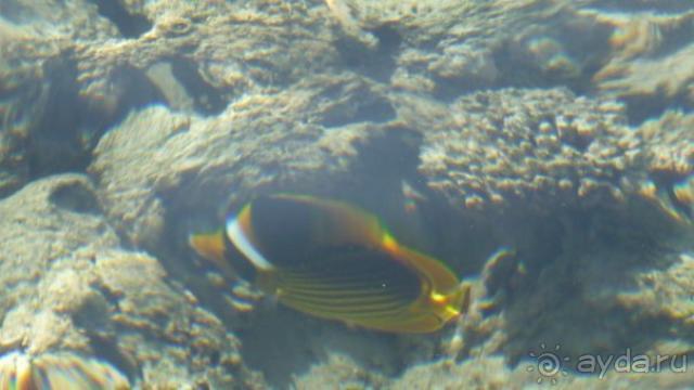 все отлично