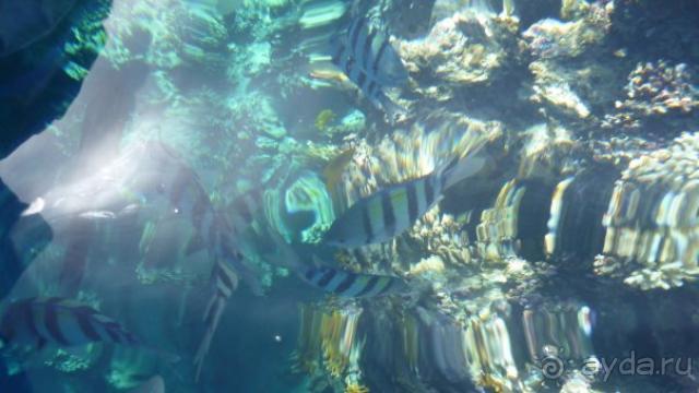 все отлично