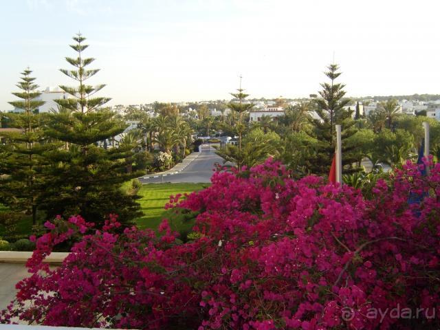 фото Marhaba Palace