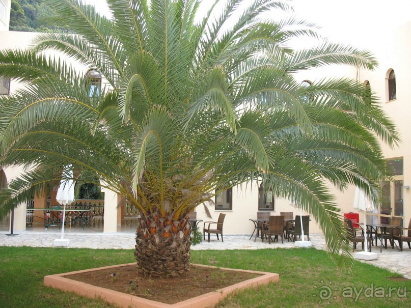 Внутренний дворик