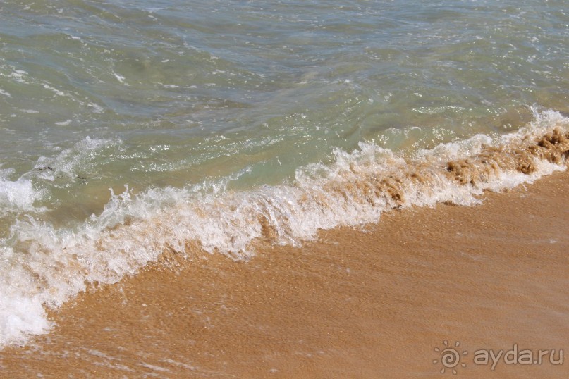 "Отель капиталистов"