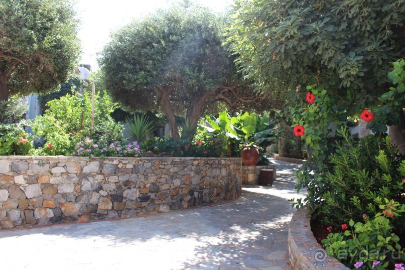 "Отель капиталистов"