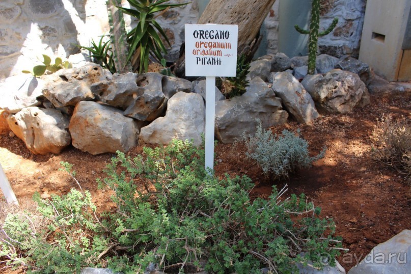 "Отель капиталистов"