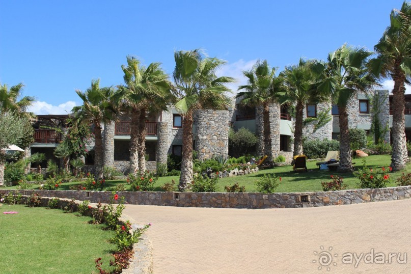 "Отель капиталистов"