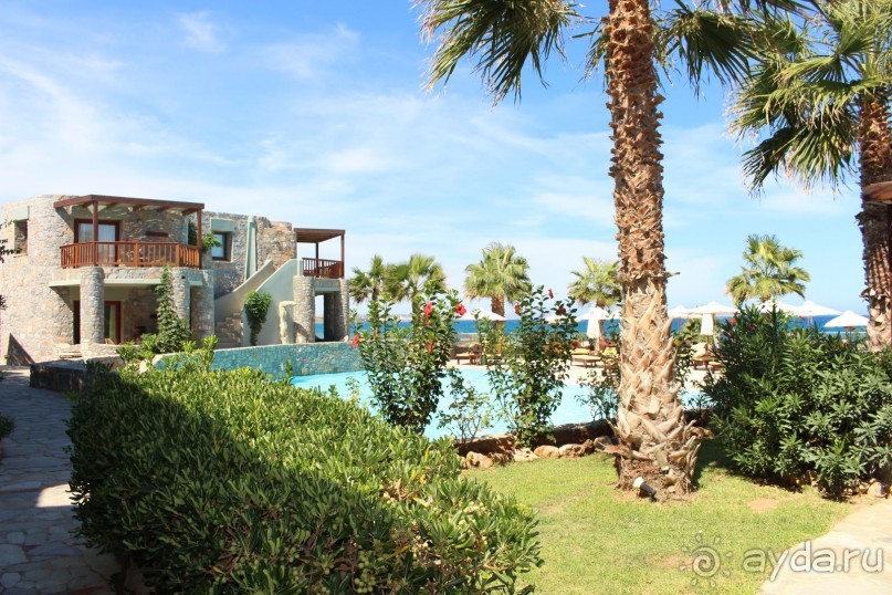 "Отель капиталистов"