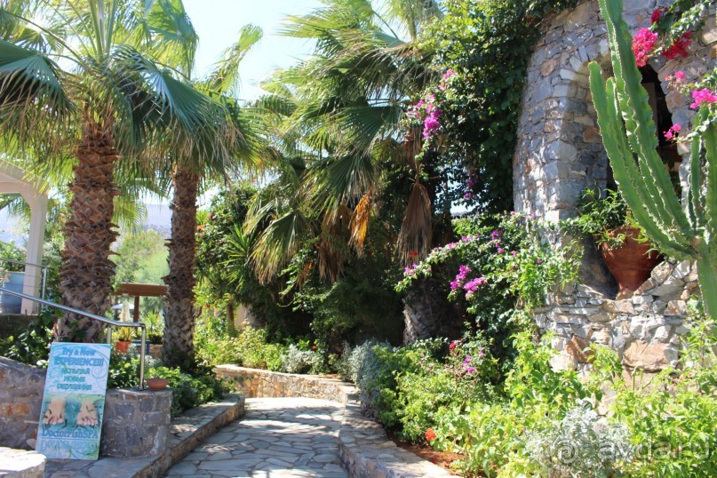 "Отель капиталистов"