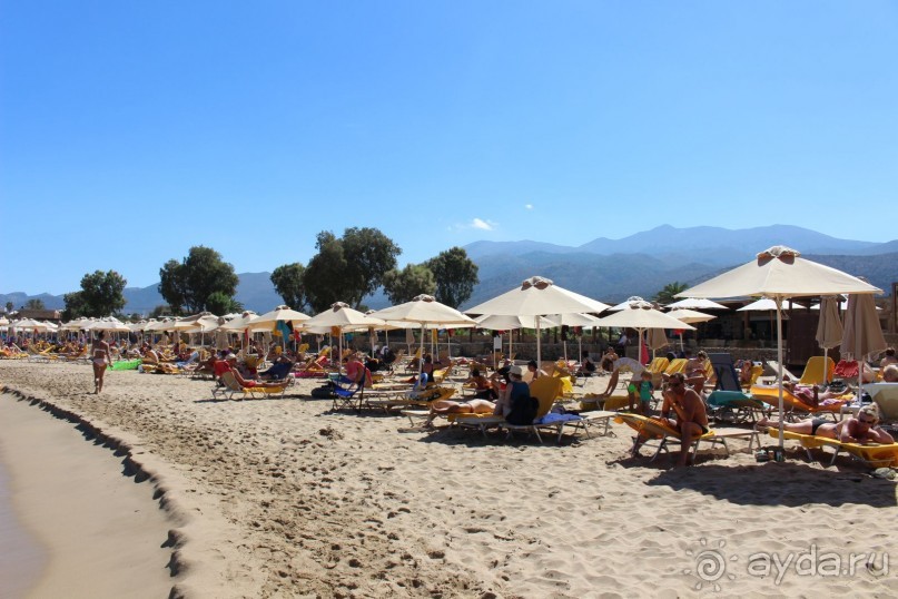 "Отель капиталистов"