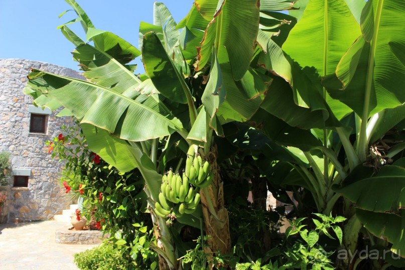 "Отель капиталистов"