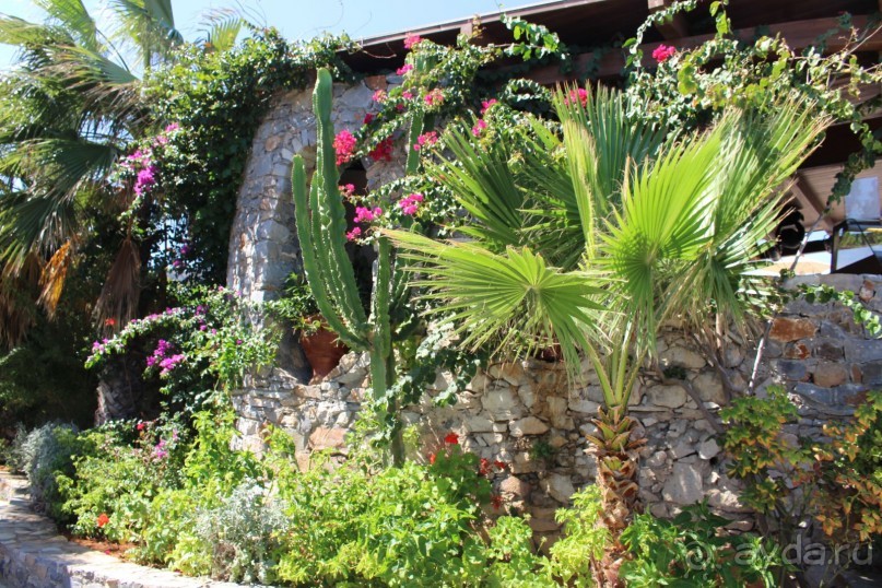 "Отель капиталистов"