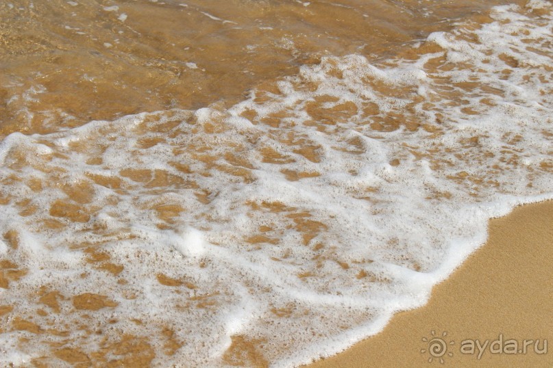 "Отель капиталистов"