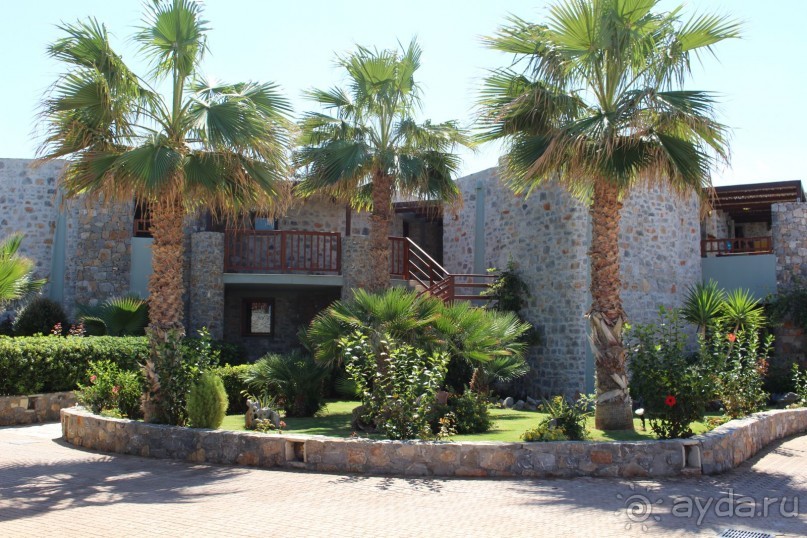 "Отель капиталистов"