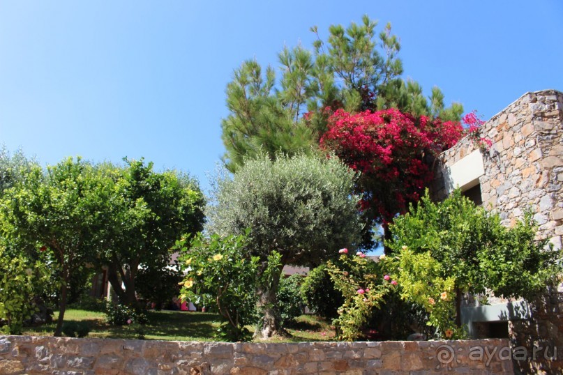 "Отель капиталистов"