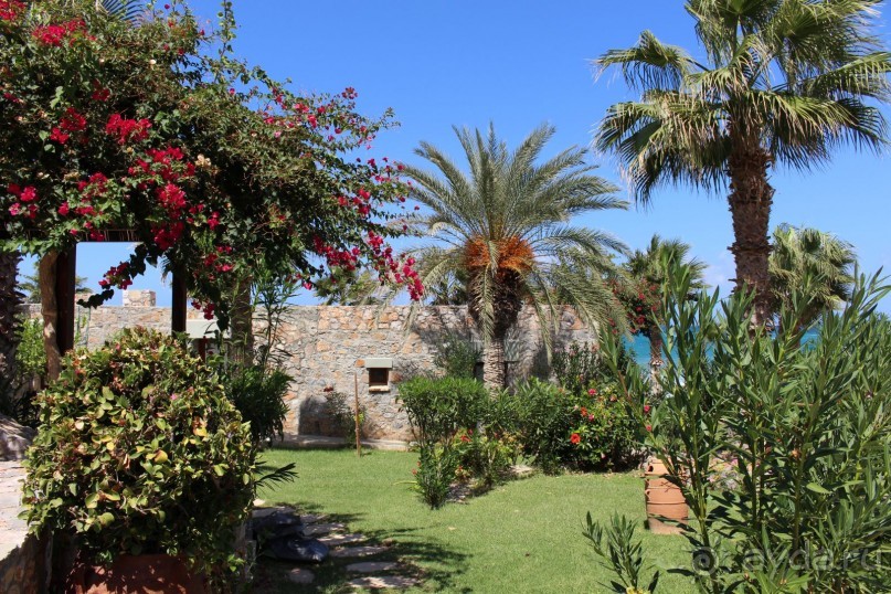 "Отель капиталистов"