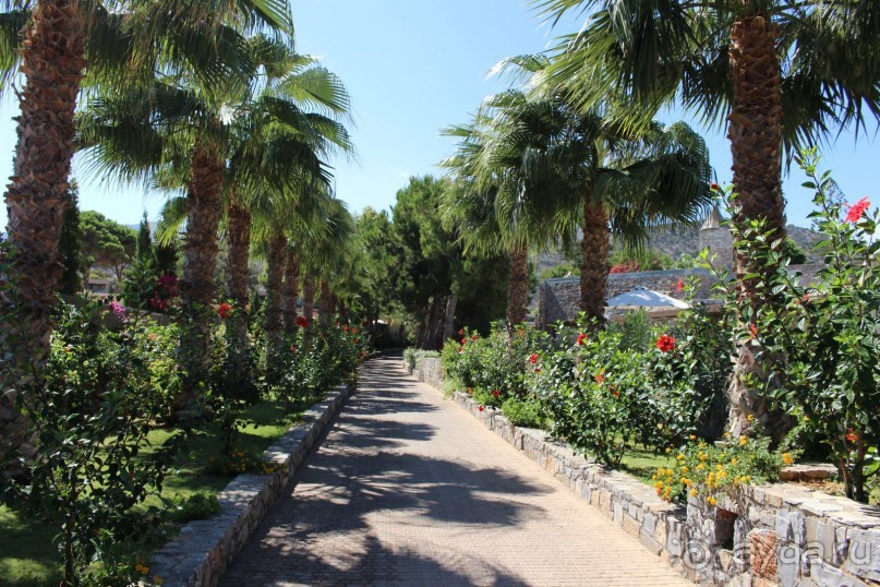 "Отель капиталистов"