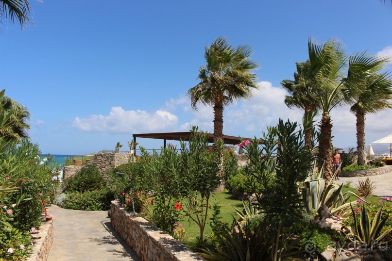 "Отель капиталистов"