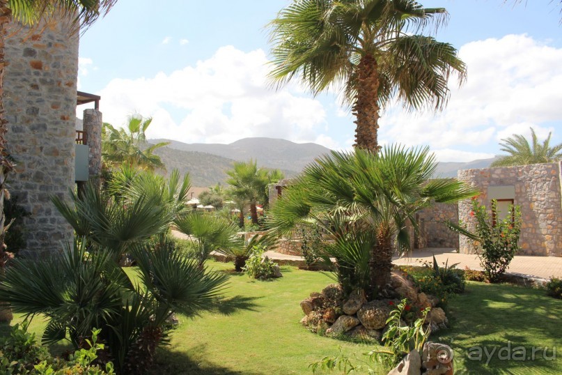 "Отель капиталистов"