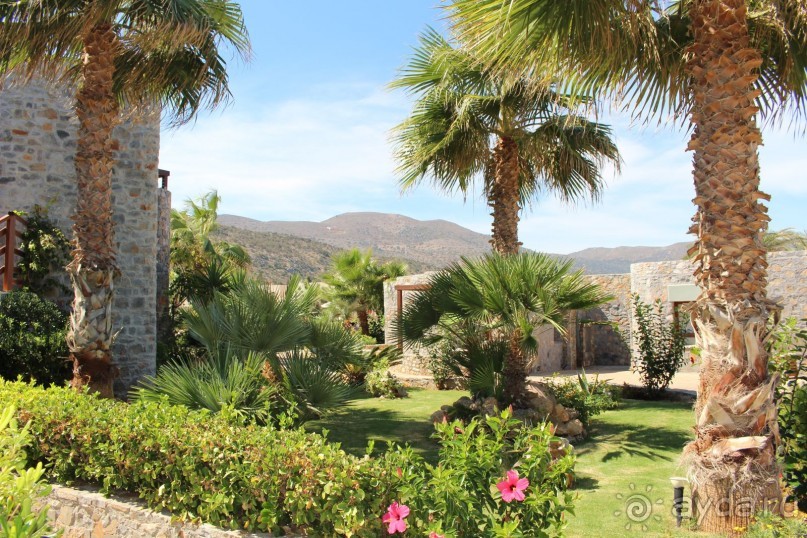 "Отель капиталистов"