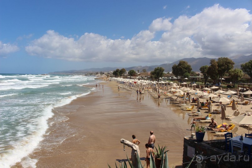 "Отель капиталистов"