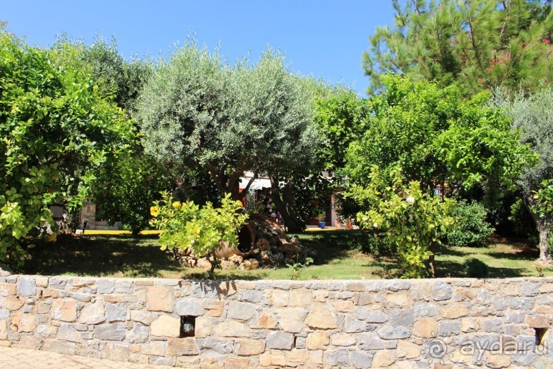 "Отель капиталистов"