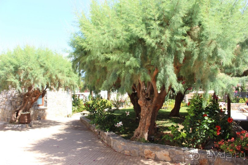 "Отель капиталистов"