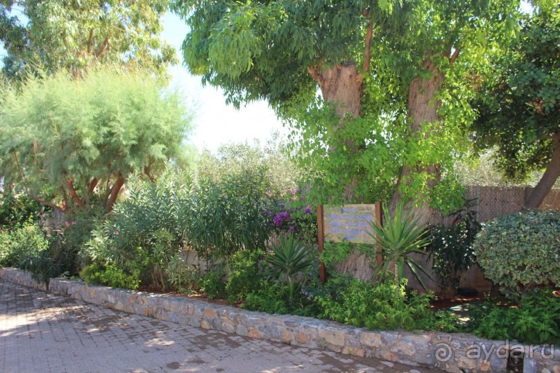 "Отель капиталистов"