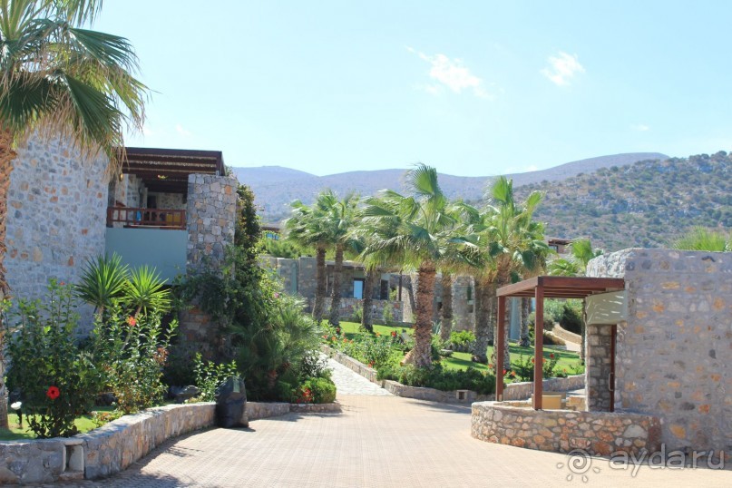 "Отель капиталистов"