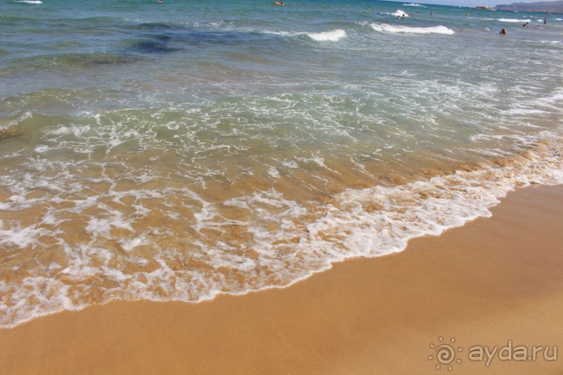 "Отель капиталистов"