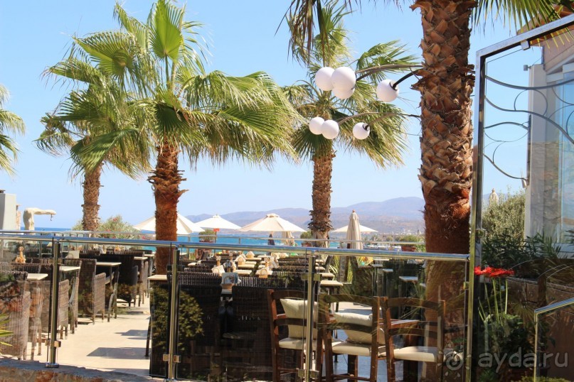 "Отель капиталистов"