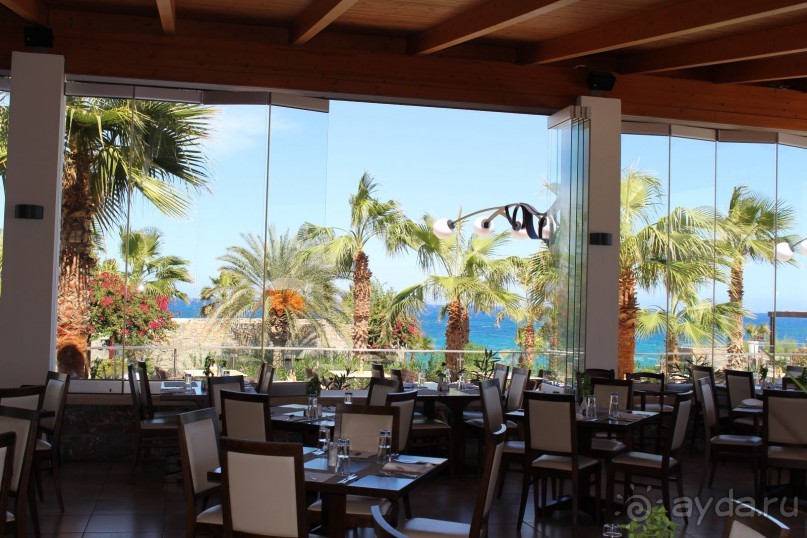 "Отель капиталистов"