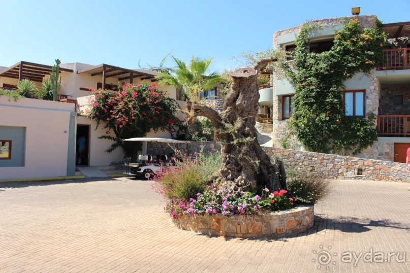 "Отель капиталистов"